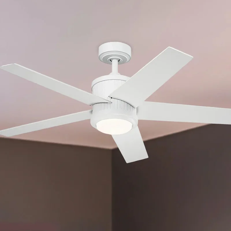 beeslighting12652479