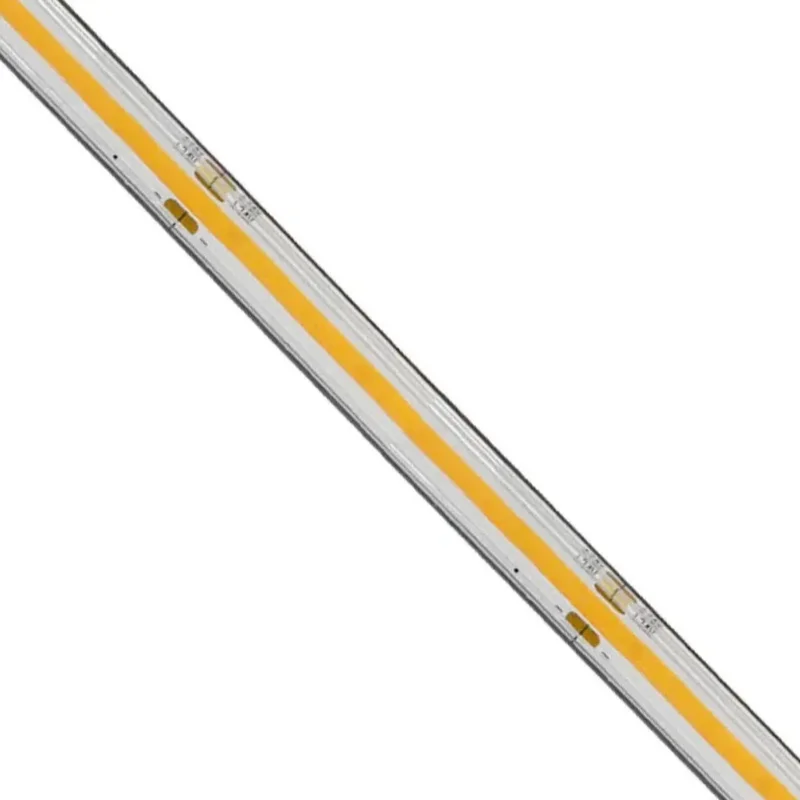 beeslighting12654247