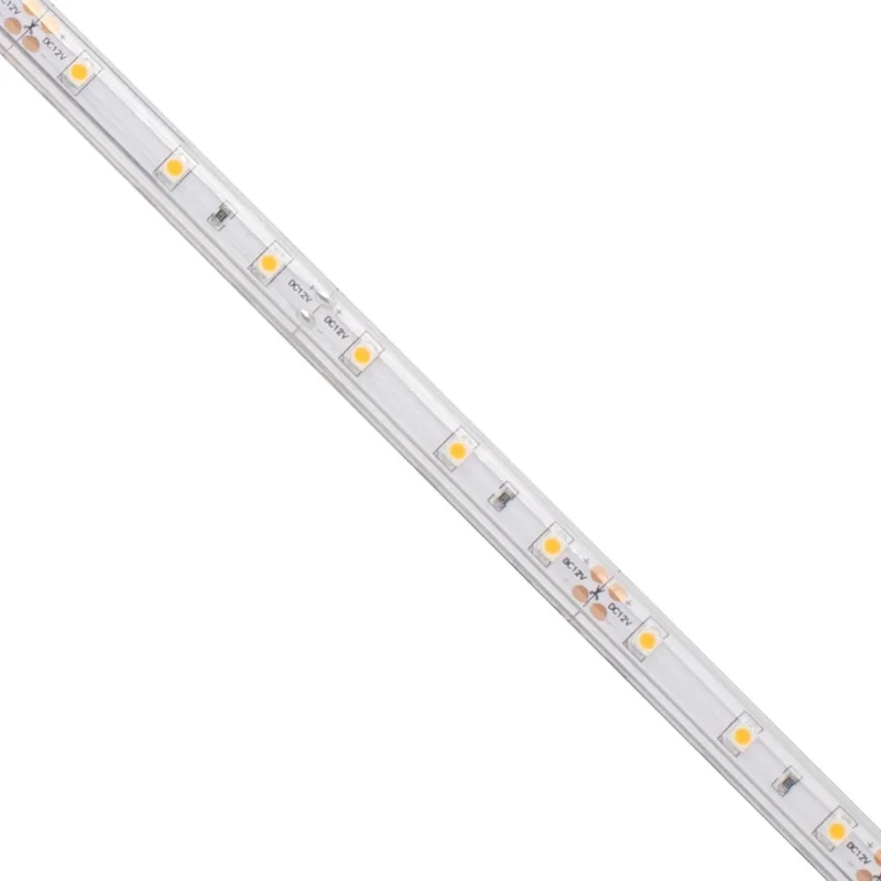 beeslighting12654494