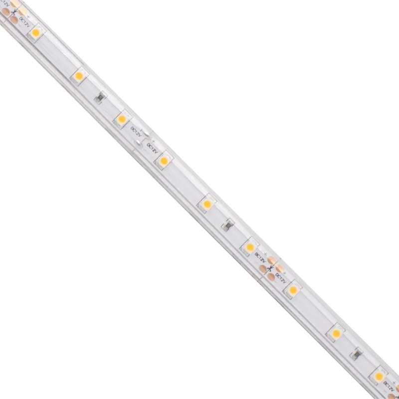 beeslighting12655299