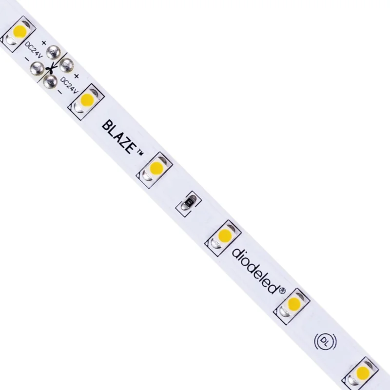 beeslighting12655335