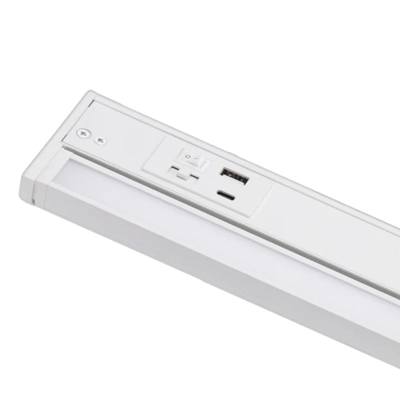 beeslighting12655848