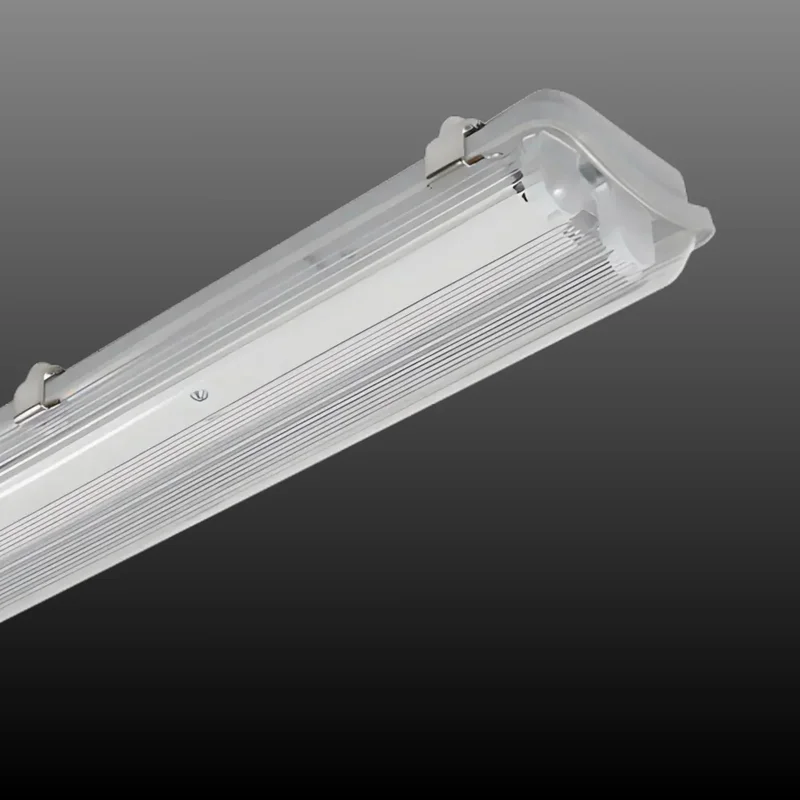 beeslighting12656239
