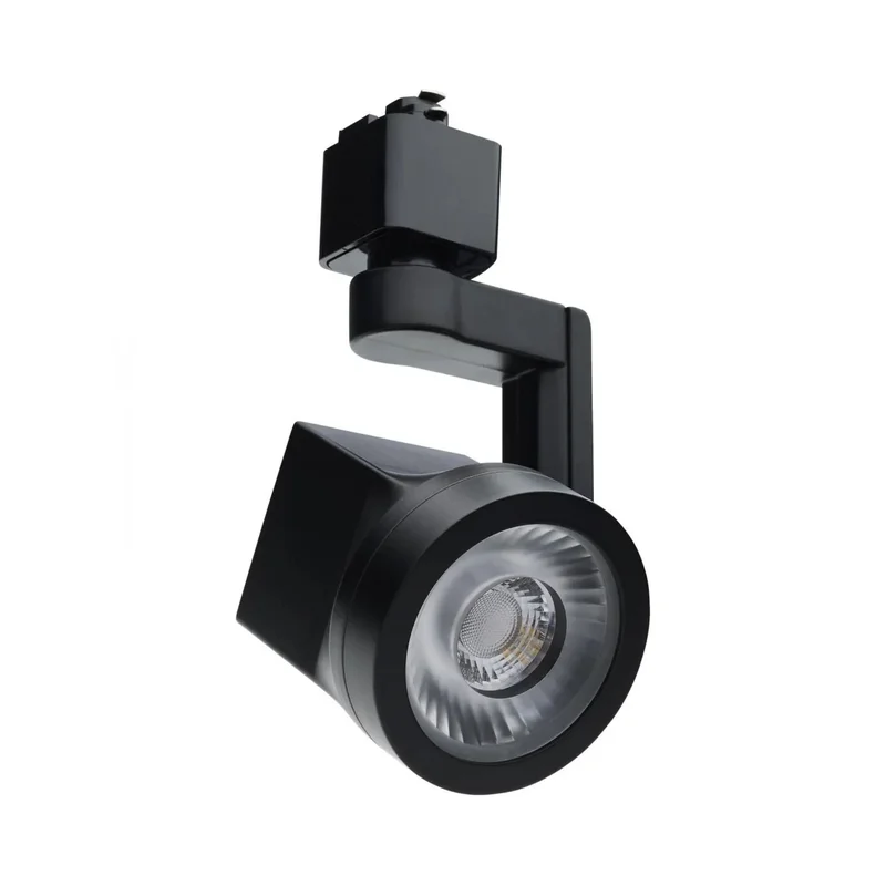beeslighting12656292