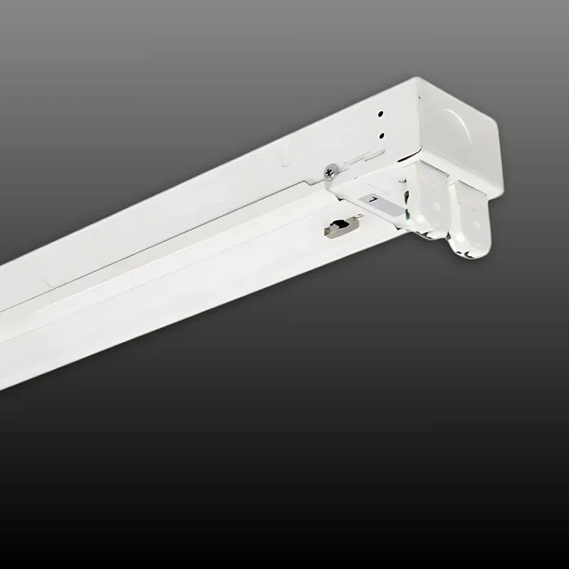 beeslighting12656364