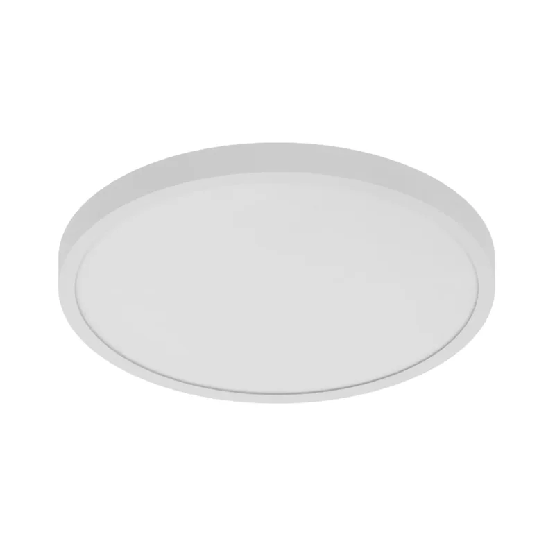 beeslighting12656448
