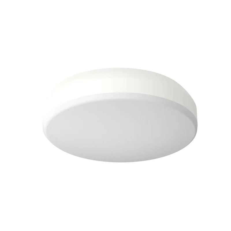 beeslighting12656578