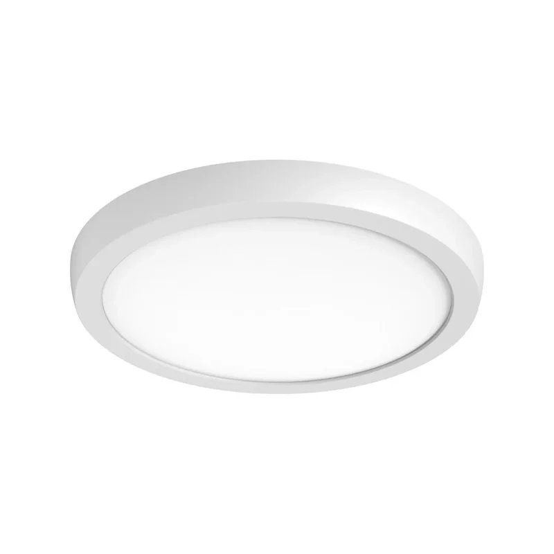 beeslighting12656661