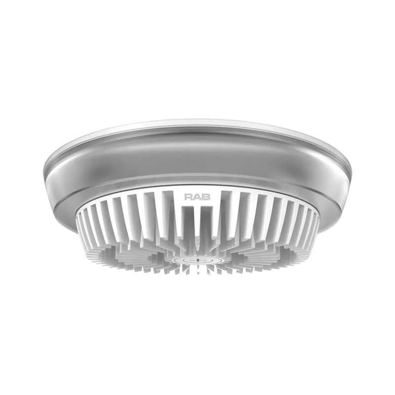 beeslighting12656759