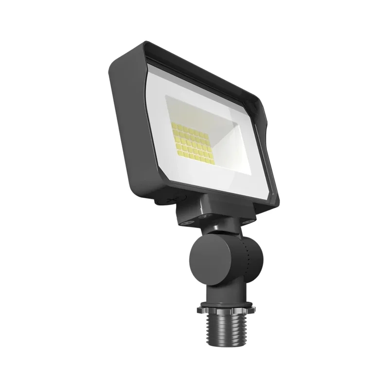 beeslighting12656815