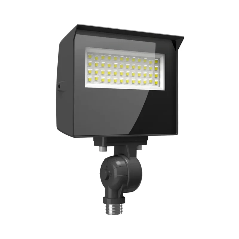 beeslighting12656986