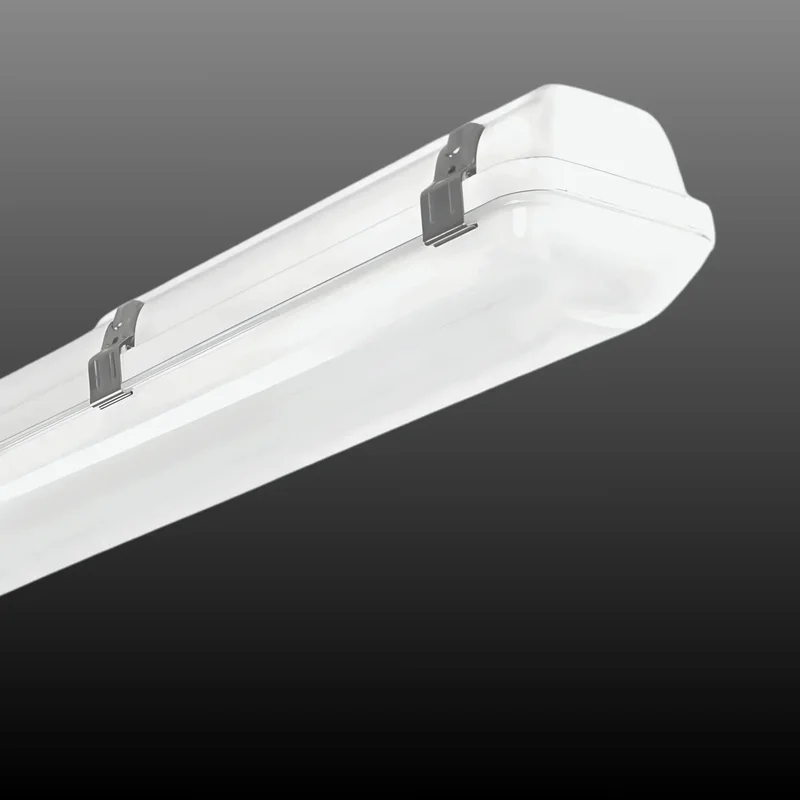 beeslighting12657023
