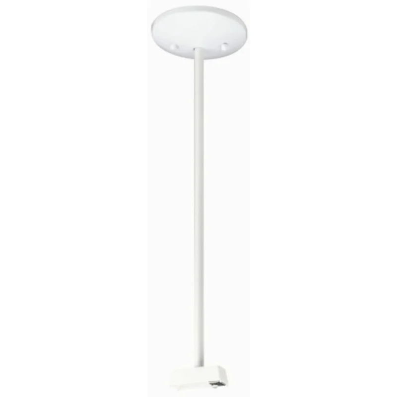 beeslighting12662931