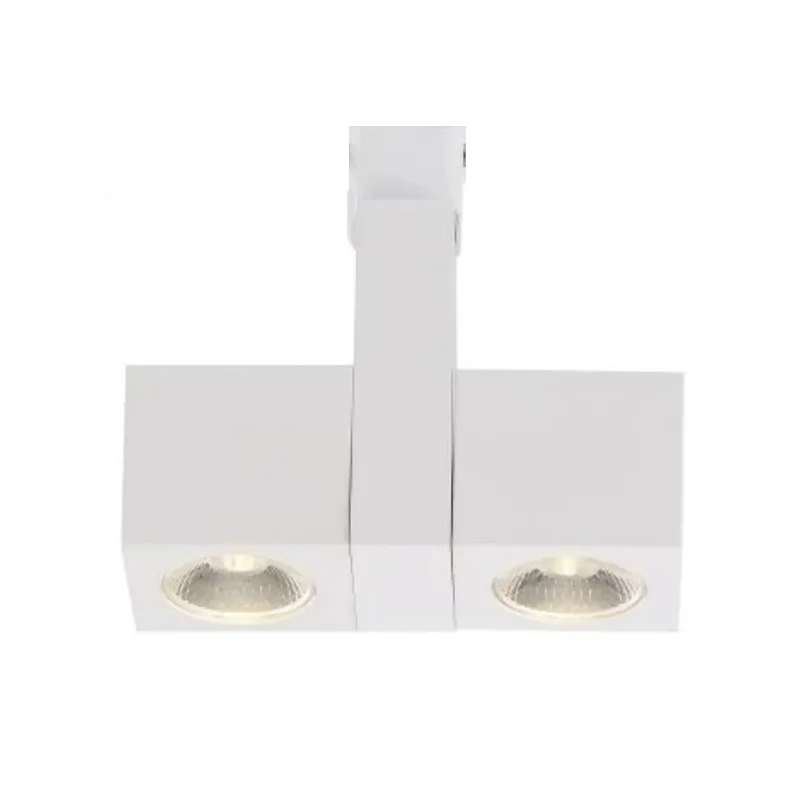 beeslighting12662961