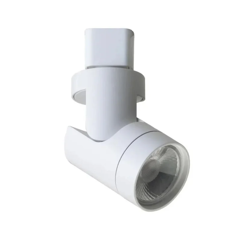 beeslighting12663324