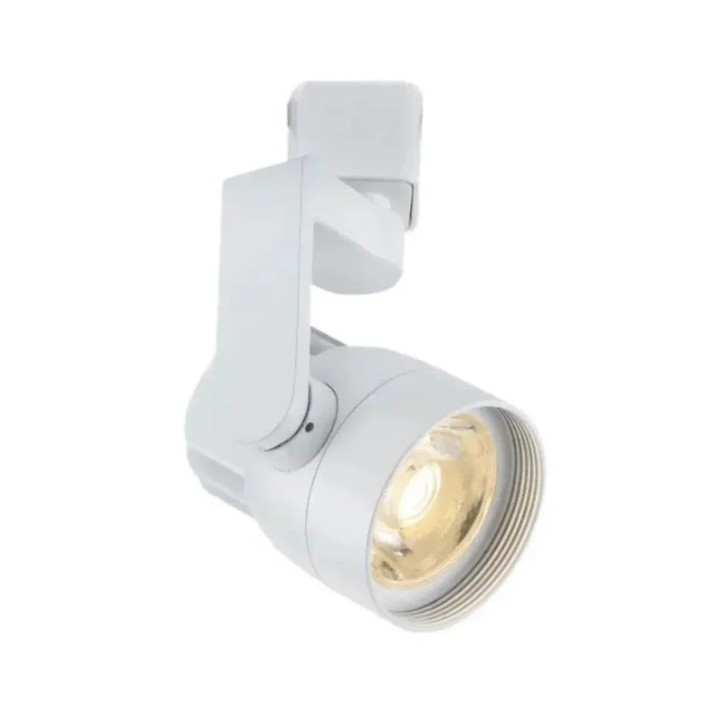 beeslighting12663404