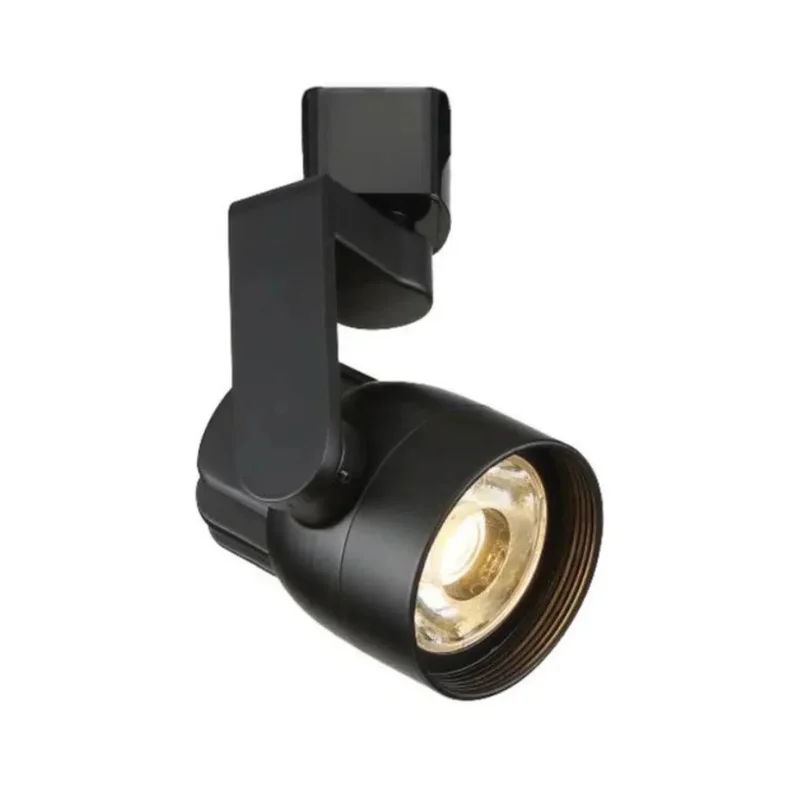 beeslighting12663485