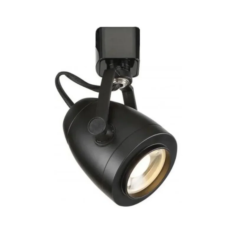 beeslighting12663714