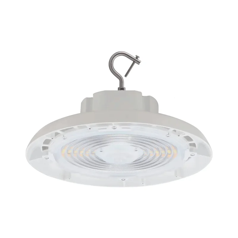 beeslighting12667504