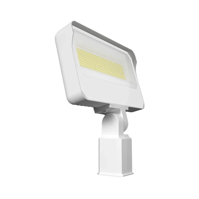 beeslighting22460086