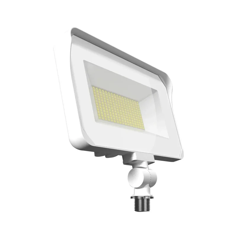 beeslighting22460138
