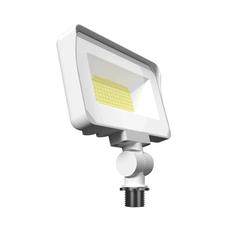 beeslighting22460150