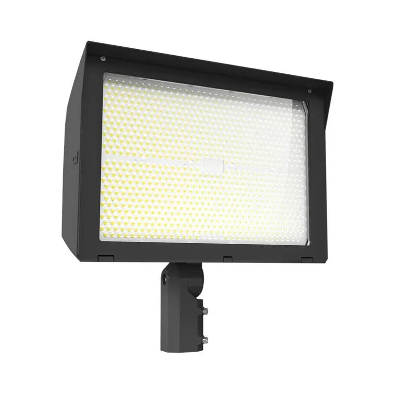 beeslighting22460201