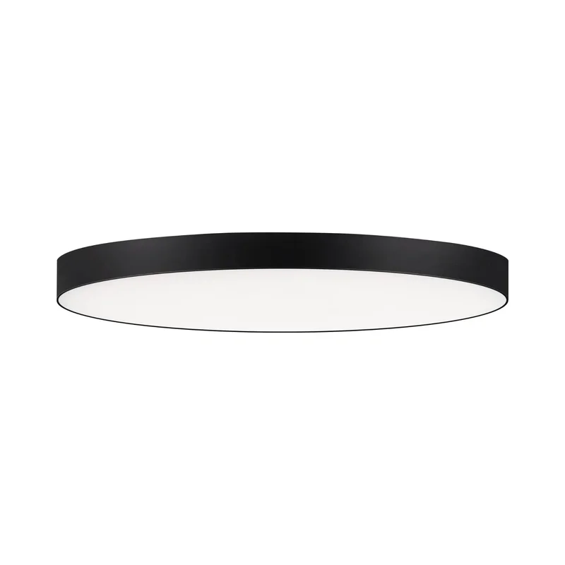 beeslighting22551531