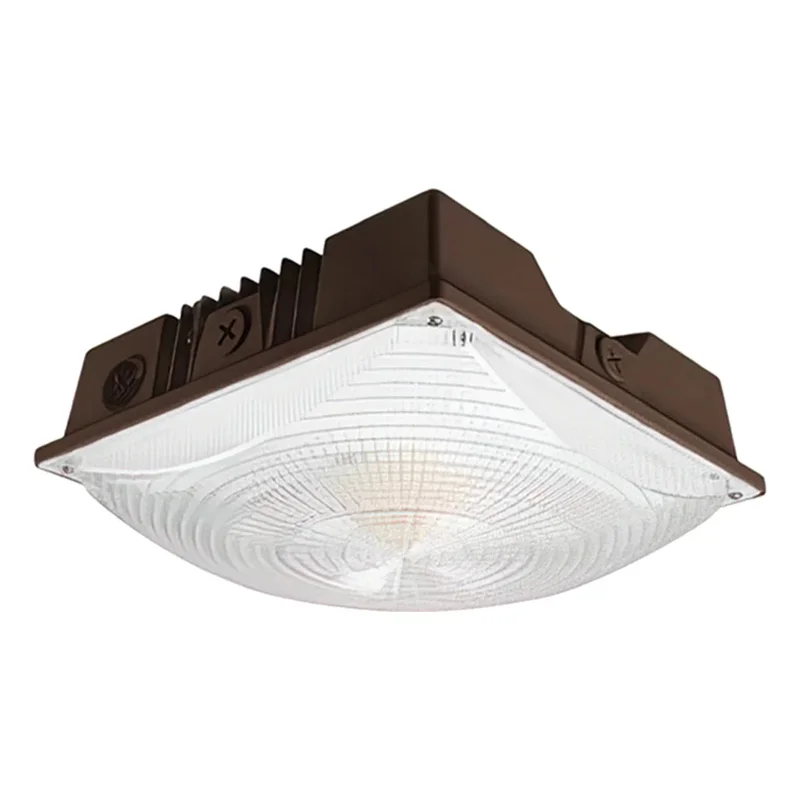 beeslighting22562941