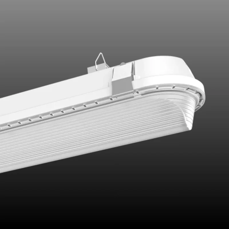 beeslighting22581364
