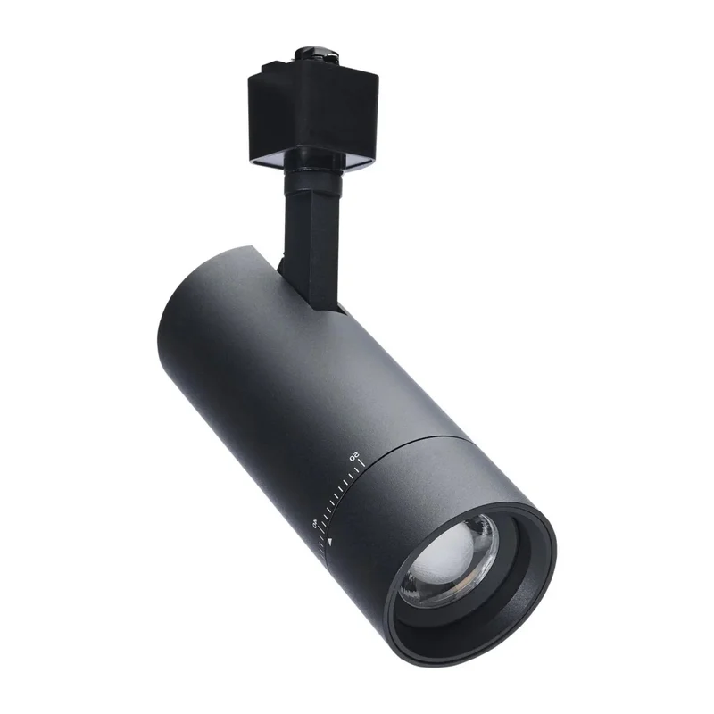 beeslighting22606450