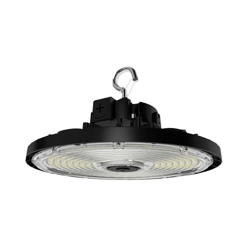beeslighting22606657