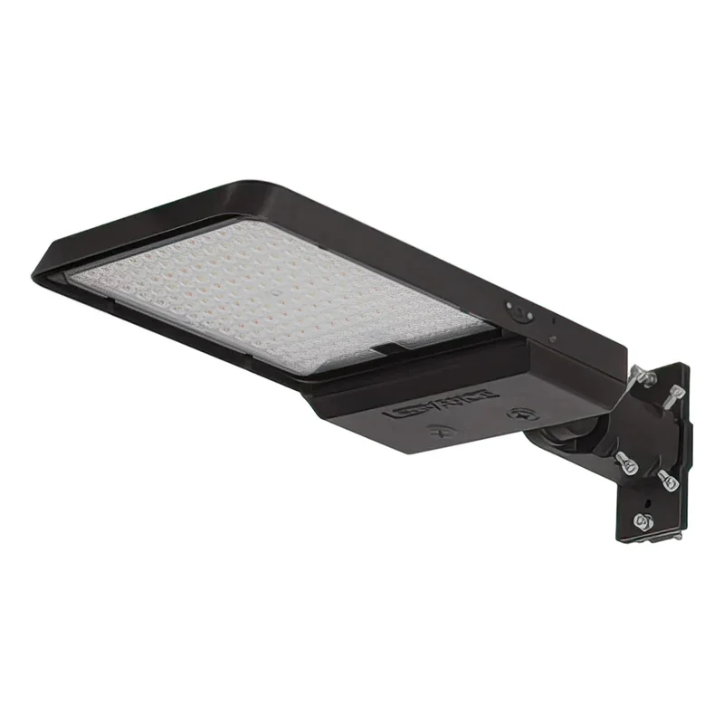 beeslighting22612553
