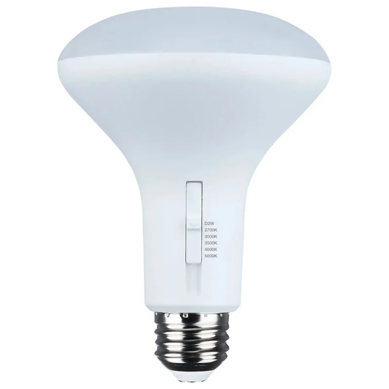 beeslighting22613459