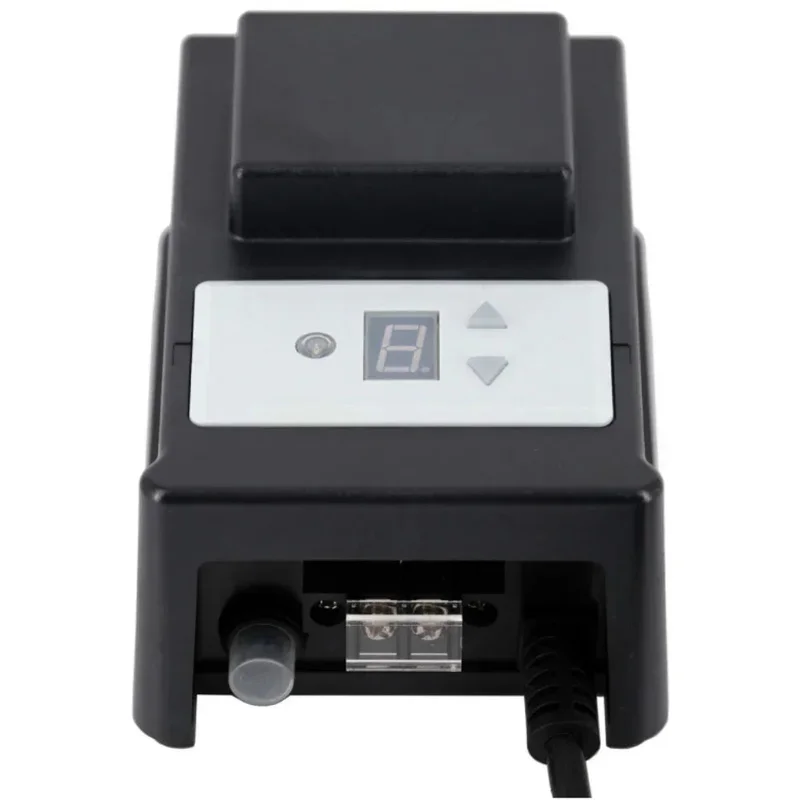 beeslighting22614174
