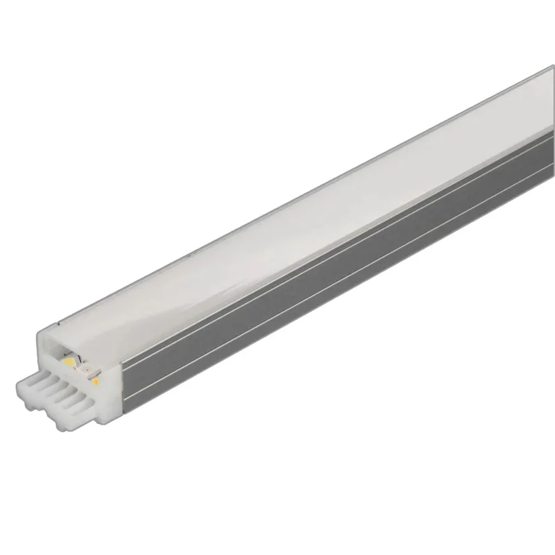 beeslighting22615257