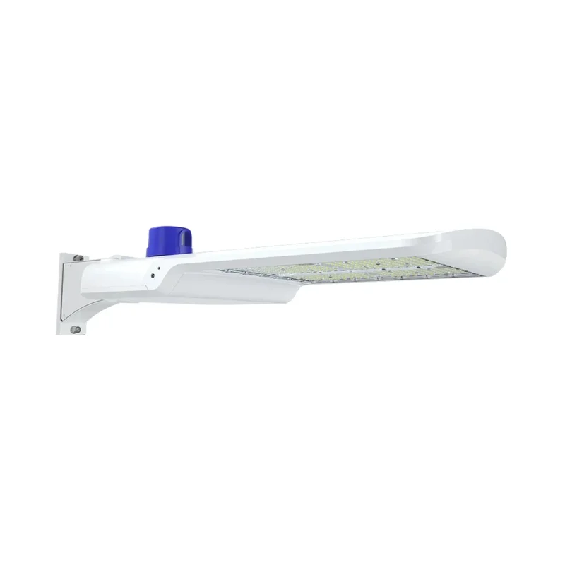beeslighting22615820