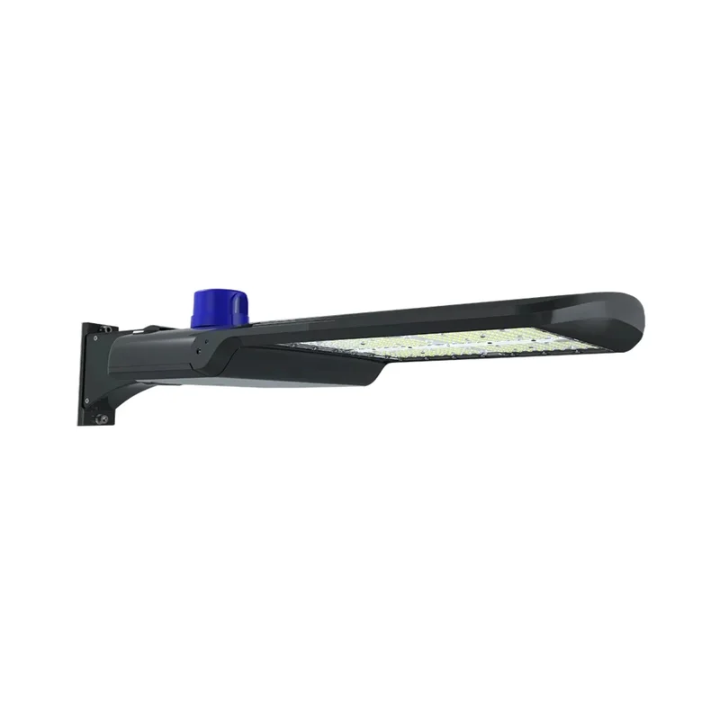 beeslighting22615830