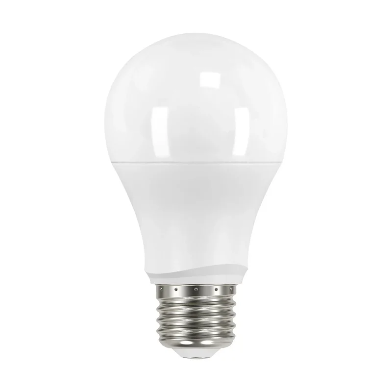 beeslighting22617015