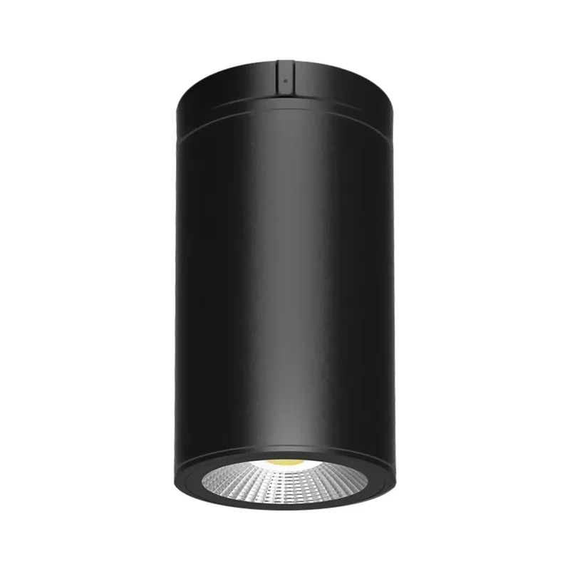 beeslighting22617379