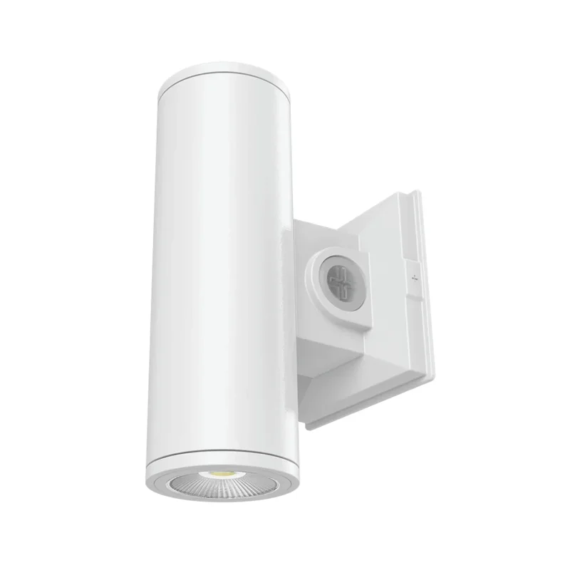 beeslighting22617394