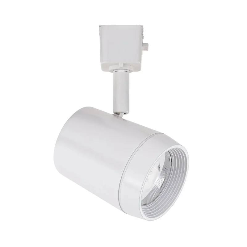 beeslighting22617550