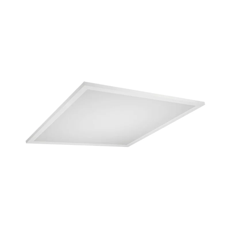 beeslighting22618661