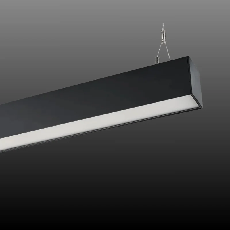 beeslighting22619620