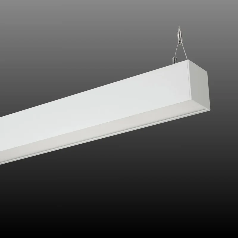 beeslighting22619624