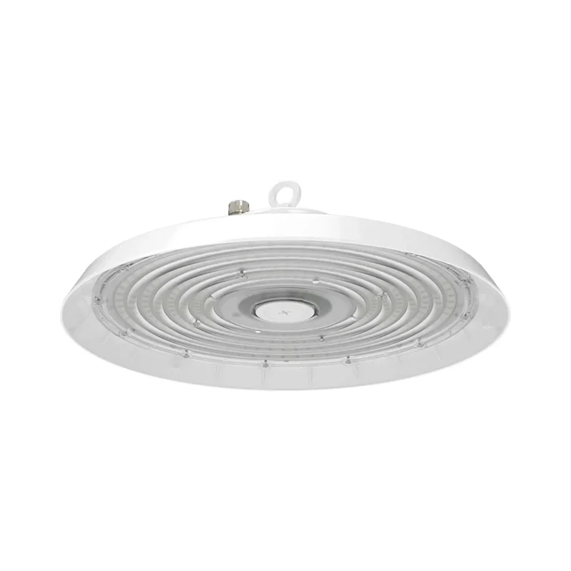 beeslighting22620019