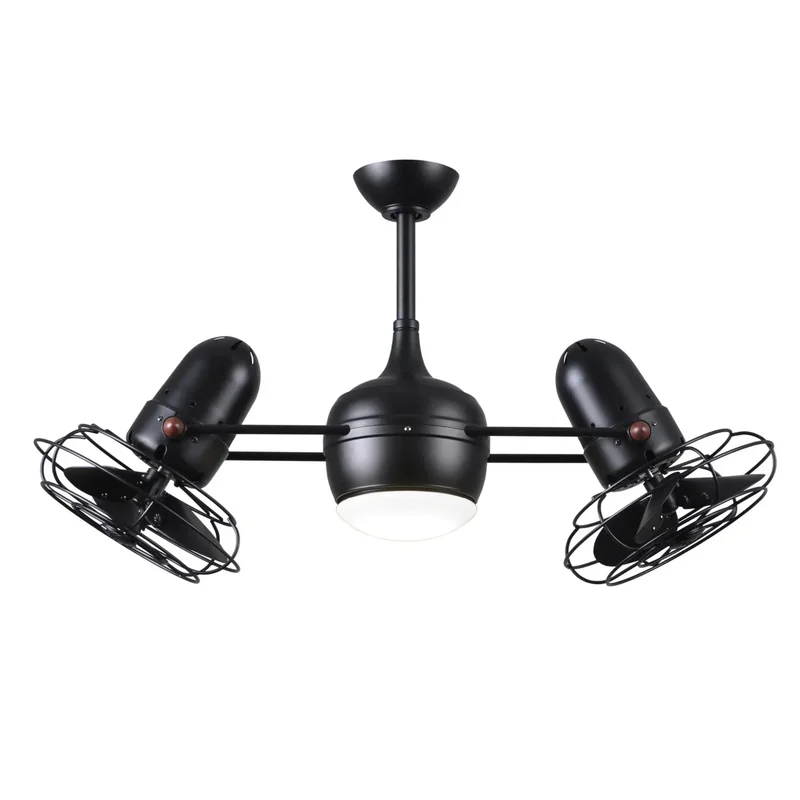 beeslighting22620598