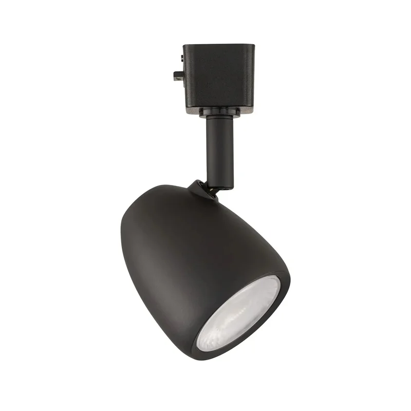 beeslighting22621644