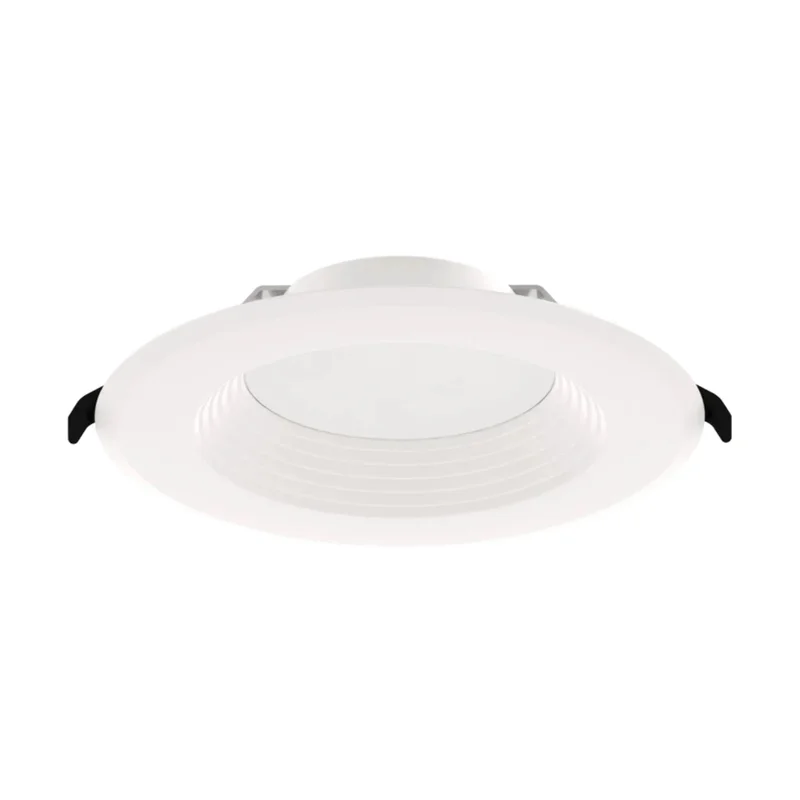 beeslighting22641942