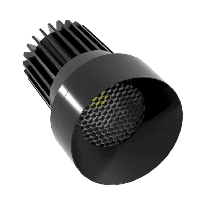 beeslighting22644099